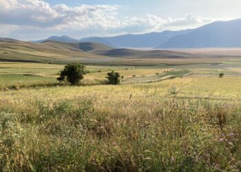 Altopiano di Castelluccio di Norcia. - Comunità Francescana delle Sorelle