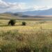Altopiano di Castelluccio di Norcia. - Comunità Francescana delle Sorelle