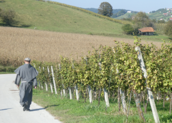 Motore di ricerca