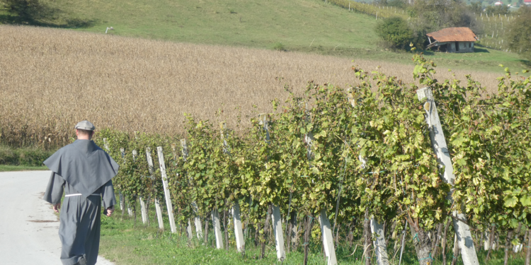 Motore di ricerca