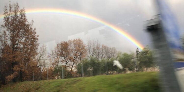 Alleanza scritta nel cuore