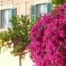 Esplosione di gioia