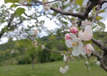 L’amore domanda cambiamenti