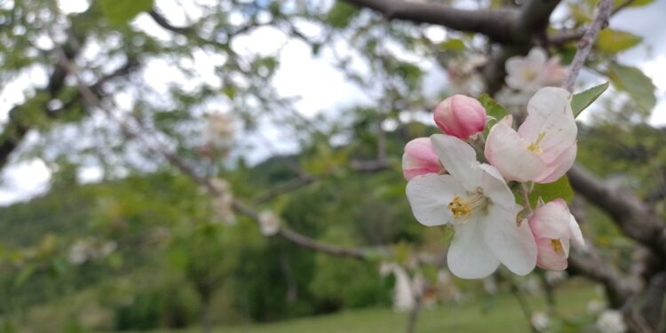 L’amore domanda cambiamenti