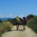 Viaggiare leggeri