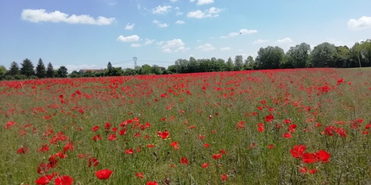 Le cose che devono accadere