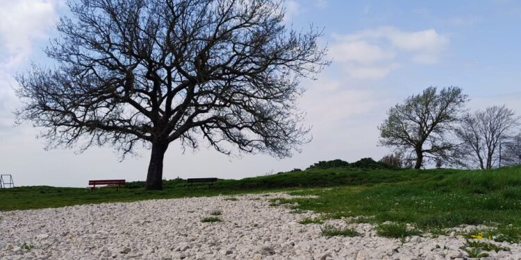 Venerdì V Settimana di Pasqua
