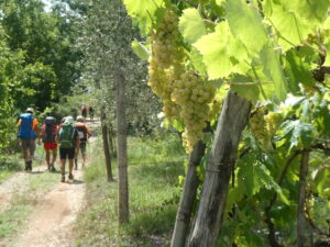 Mercoledì V Settimana di Pasqua