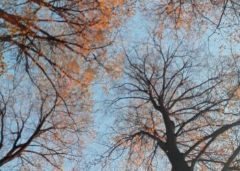 Martedì XI Settimana del Tempo Ordinario