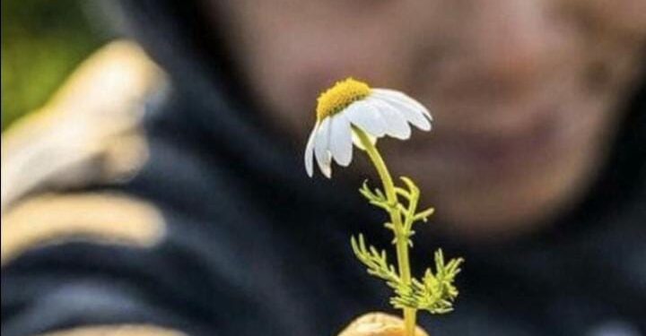 Mercoledì I Settimana del Tempo ordinario